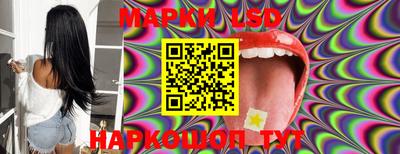 шишки Можга