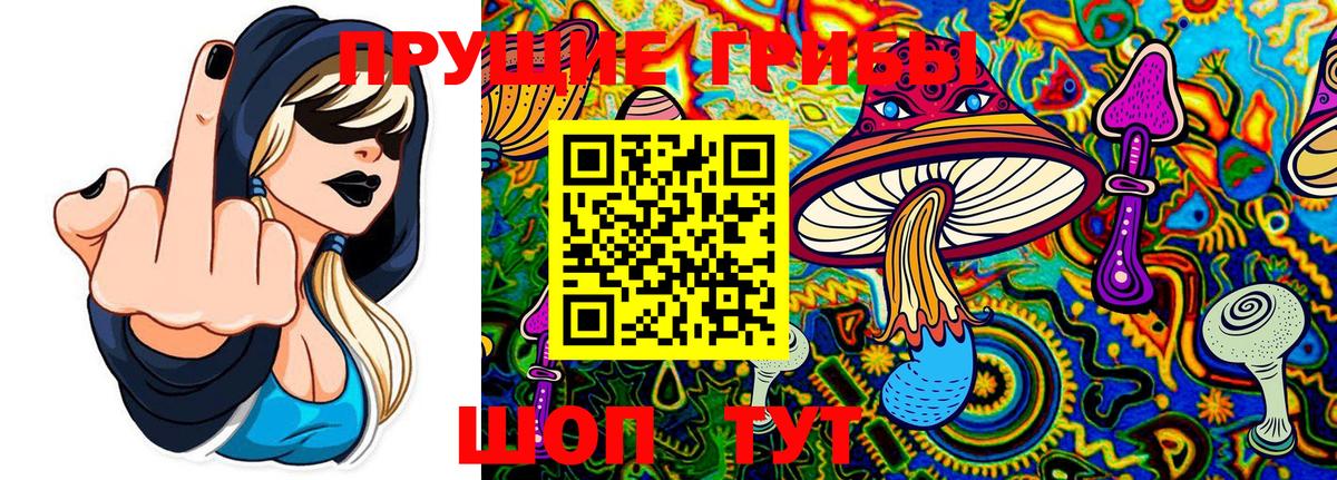 Галлюциногенные грибы MAGIC MUSHROOMS Славянск-на-Кубани