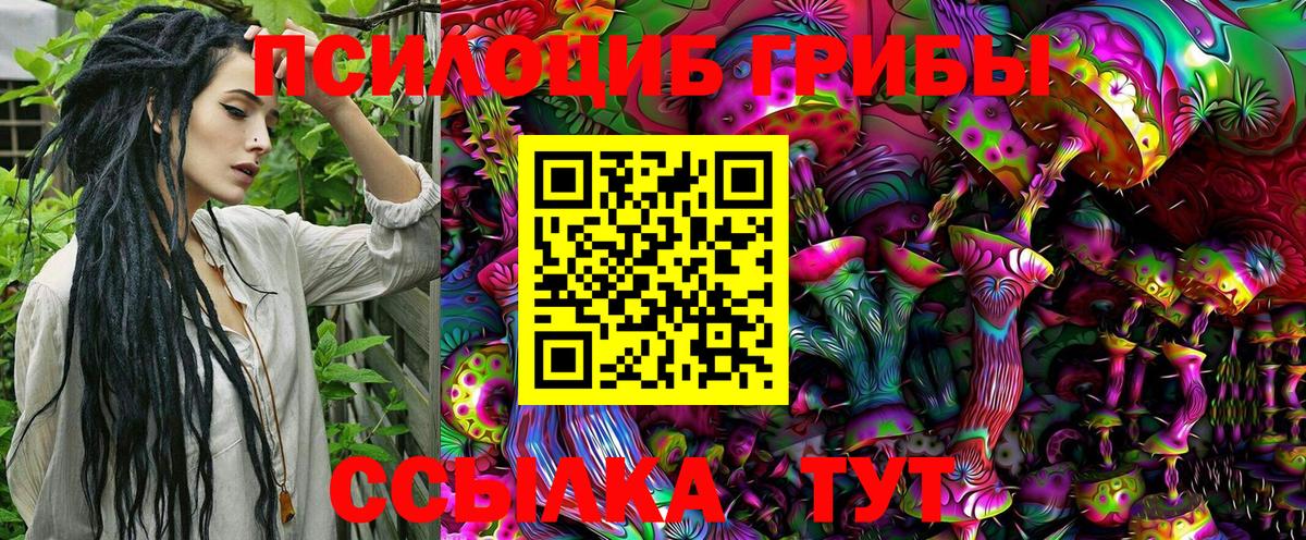 Славянск-на-Кубани  Псилоцибиновые грибы Magic Shrooms  Вход с VPN  Псилоцибиновые грибы GOLDEN TEACHER 